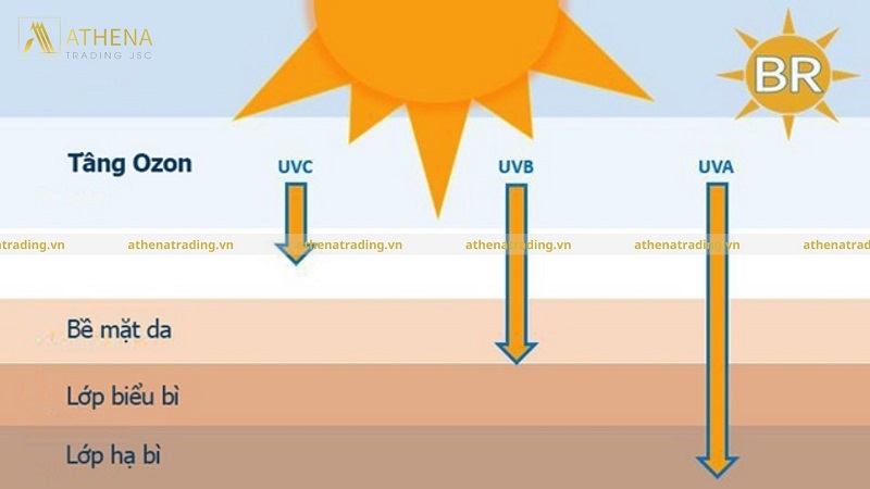 Các loại tia UV