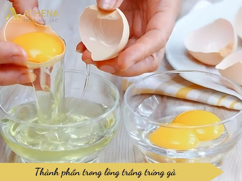 Thành phần trong lòng trắng trứng gà