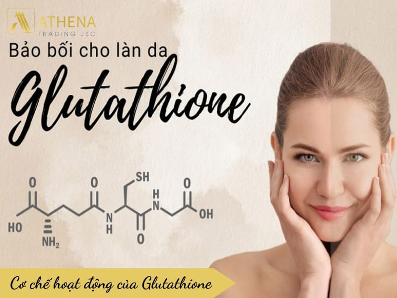 Cơ chế hoạt động của Glutathione