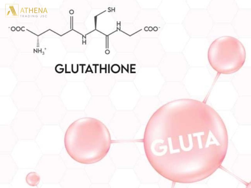 Glutathione kích thích sản sinh collagen và elastin – hai protein thiết yếu giúp da săn chắc, đàn hồi