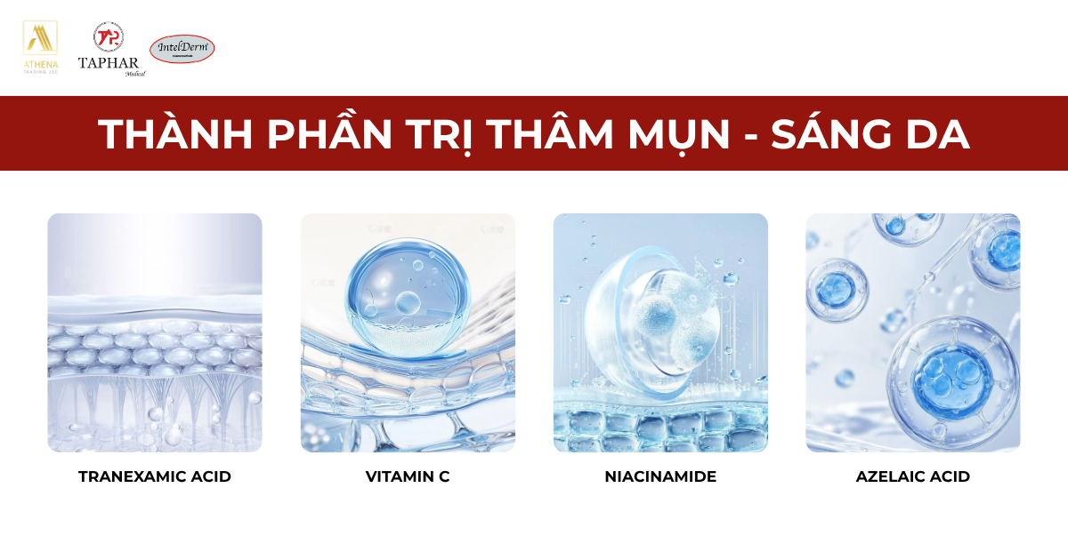 Thành phần trị thâm mụn sáng da