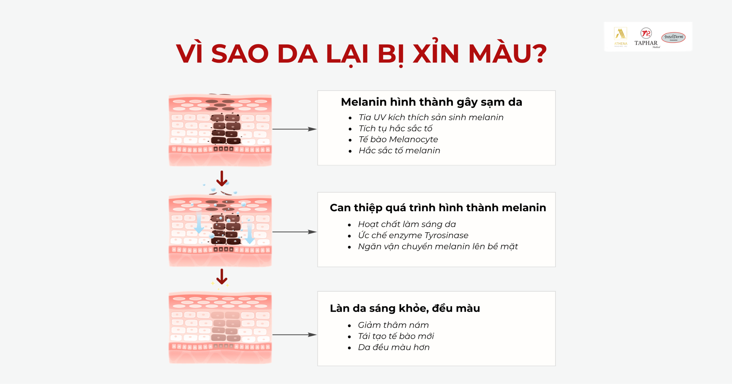 Tại sao da xỉn màu và cách làm sao để da trắng