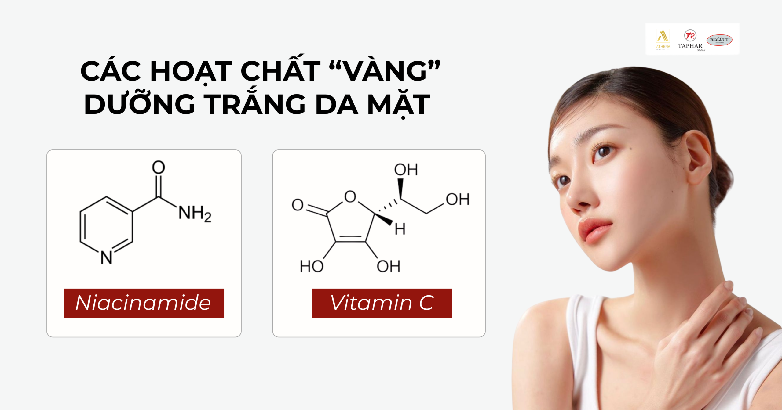 Infographic so sánh 2 hoạt chất Niacinamide và Vitamin C giúp làm sáng da hiệu quả