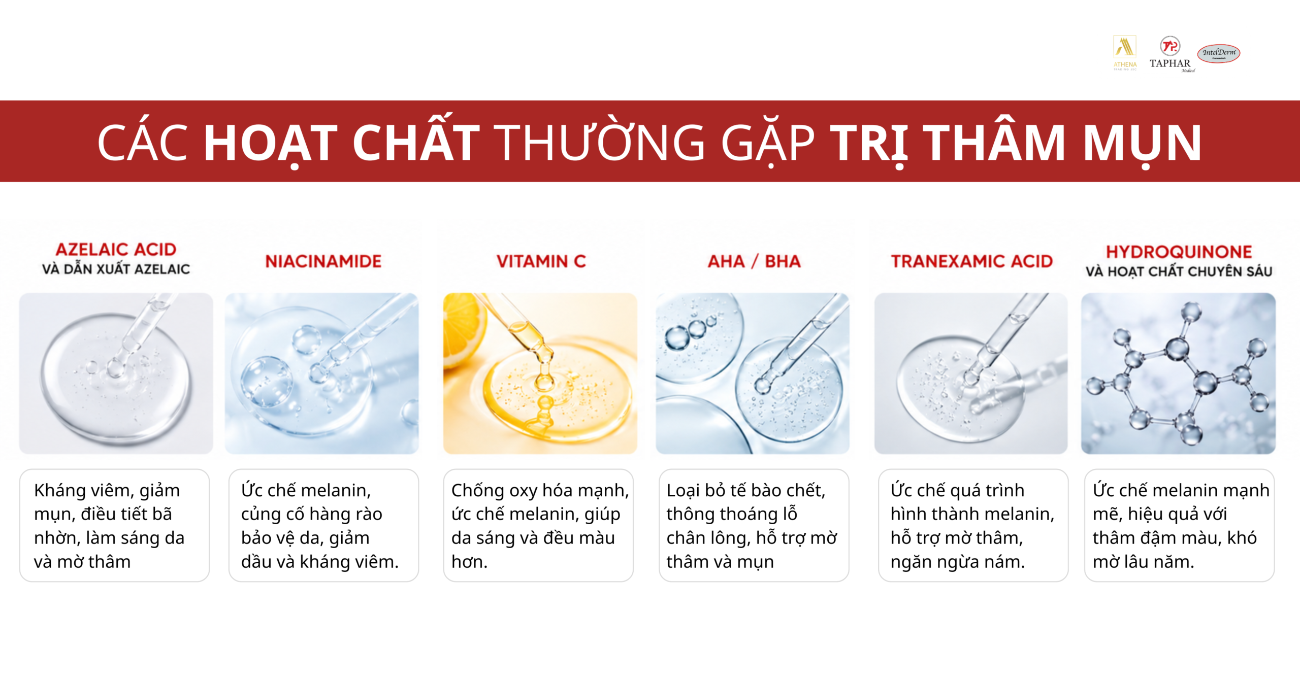 hoat-chat-trong-thuoc-tri-tham-mun-cap-toc