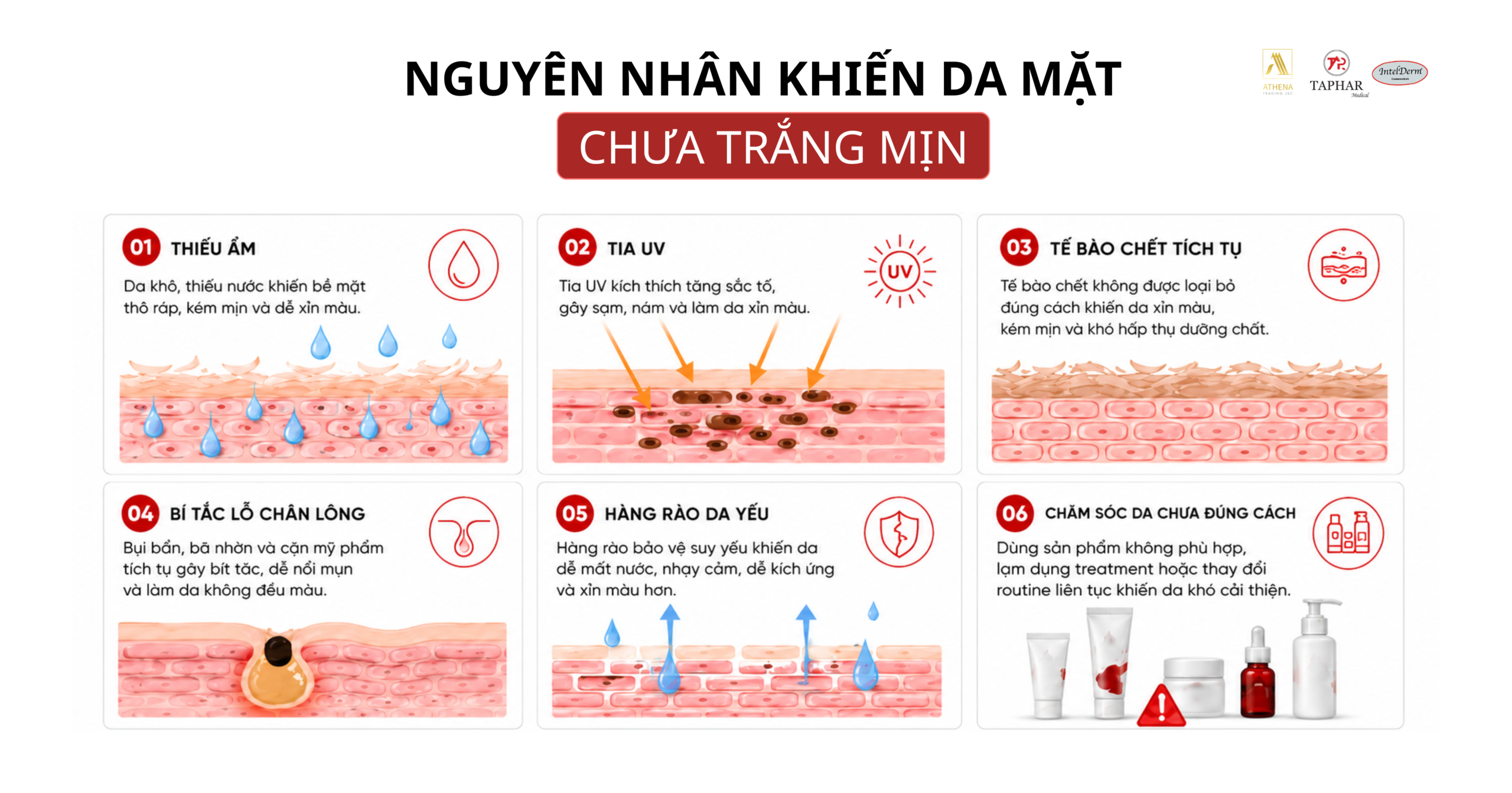 Các nguyên nhân khiến da mặt xỉn màu và kém mịn 