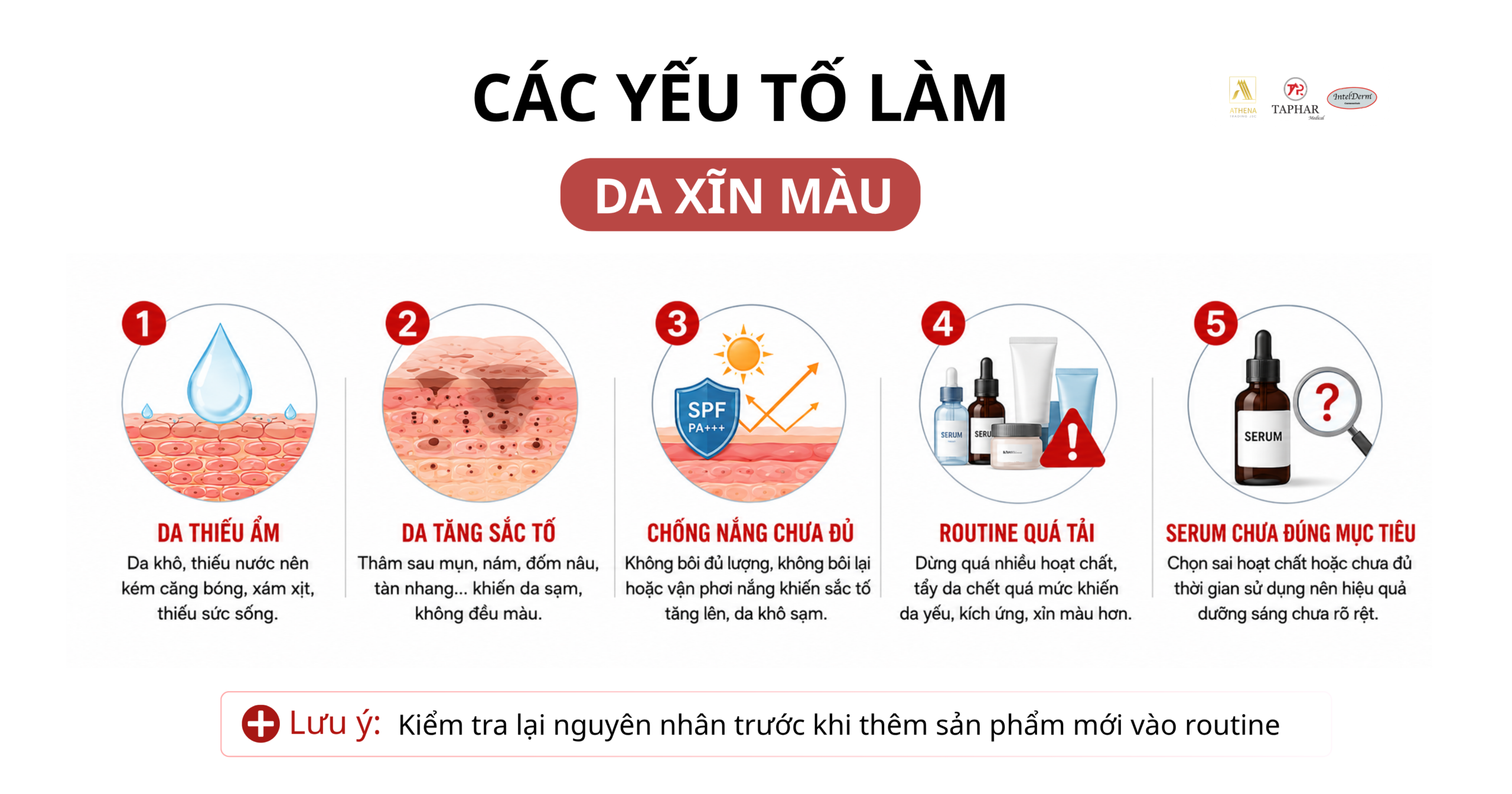 làm đủ các bước skincare nhưng da vẫn xỉn màu là do đâu