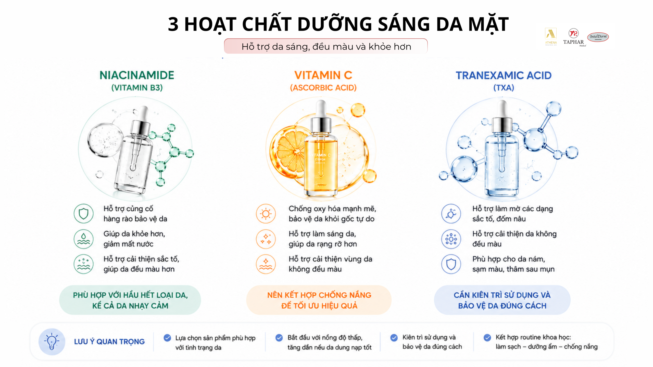 hoạt chất dưỡng sáng da mặt Niacinamide Vitamin C Tranexamic Acid