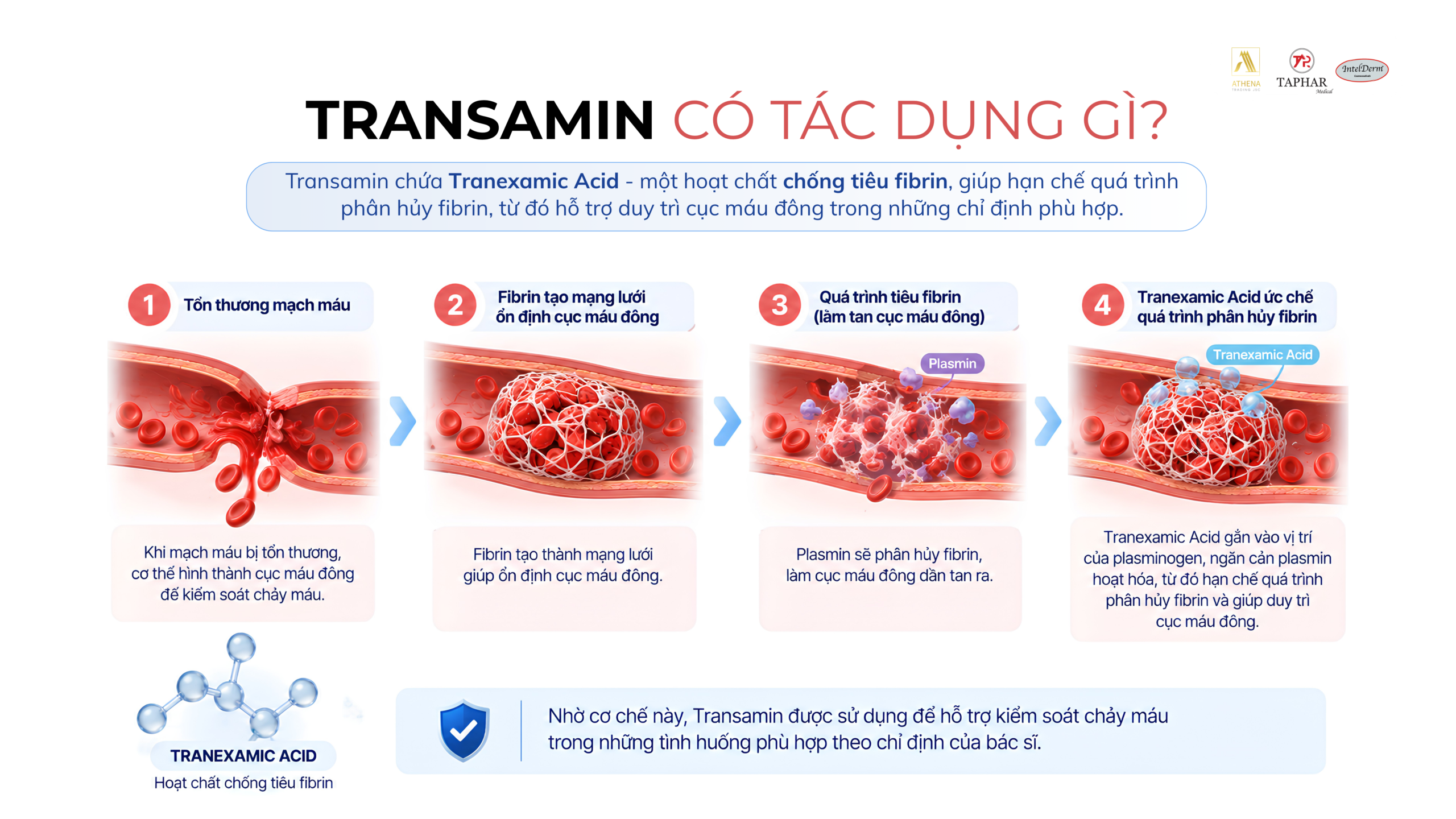 Transamin có tác dụng gì và cơ chế cầm máu của Tranexamic Acid